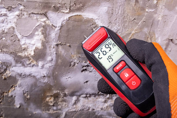 Best Best Mold Removal Companies  in Cottage Grove, OR