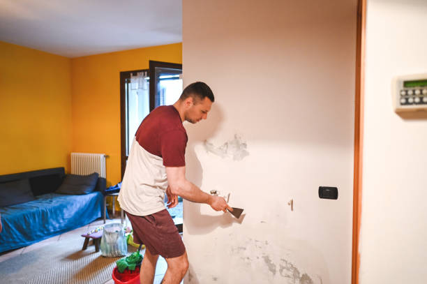 Best Mold Cleaning Services  in Cottage Grove, OR